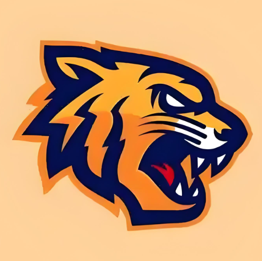 绝地【老虎】天卡-全功能